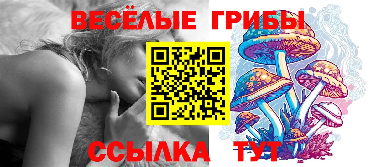 Грязи  Псилоцибиновые грибы Cubensis  купить наркотики цена  Галлюциногенные грибы ЛСД  Вход с VPN 
