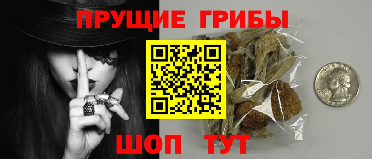Псилоцибиновые грибы Magic Shrooms Грязи